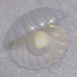 姜姜子