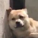 不太一样的烟火
