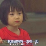 从不反省
