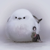 YoreYuen