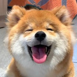 豆友181290687