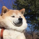 吼吼吼