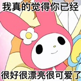 豆友181305503