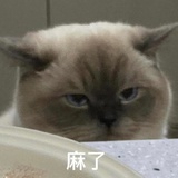 不盐不甜