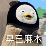 不要发现我