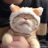 小熊软糖