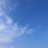 风信子