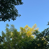 稀薄空气