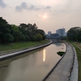 波文学