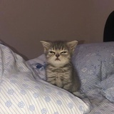 hhhhhhh