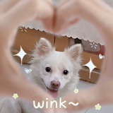赵