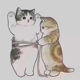 。。。