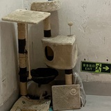 紫射灯摊主