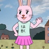 进击的兔美