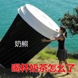 奶熊