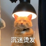 遛弯儿爱好者