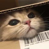 豆空豆儿-