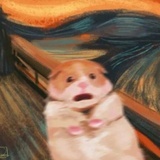 嘻嘻