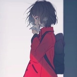 巧克力、猪