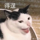 暴躁鸡