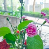 今天我不气
