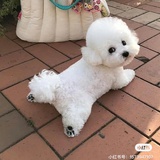 春暖花开
