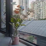莱布尼茨布丁