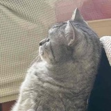 早睡早起