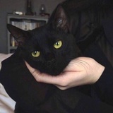 liisui