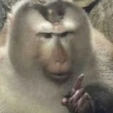 FUNPEE