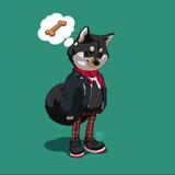 猫泽春绯