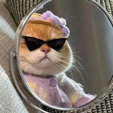 拽喵姐🐯