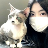 小小撩玑
