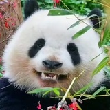 多笑笑吧