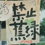 莫莉奶绿