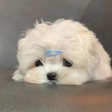 一个没所谓的人