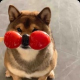 吃什么好