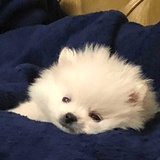 我😘熊熊