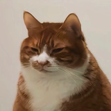亦文