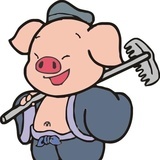 一只会上树的🐷