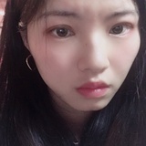 寻找树洞的米