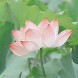 豆友182137415