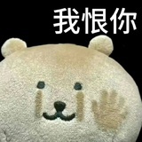 那我就是这样呀