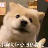 史努比
