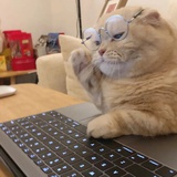 追火车的猫