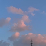 元又