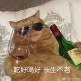 马桶搋子