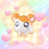 yoyoai