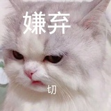 我遁作一只蚌