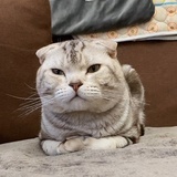 阿今